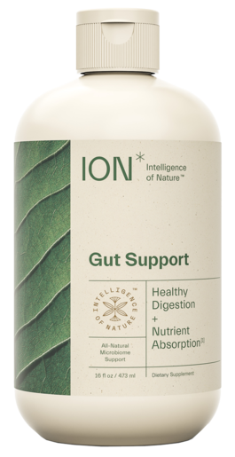 ION* Gut Support 16 fl oz