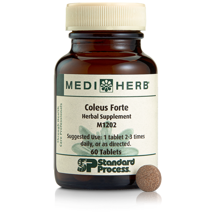 MediHerb - Coleus Forte