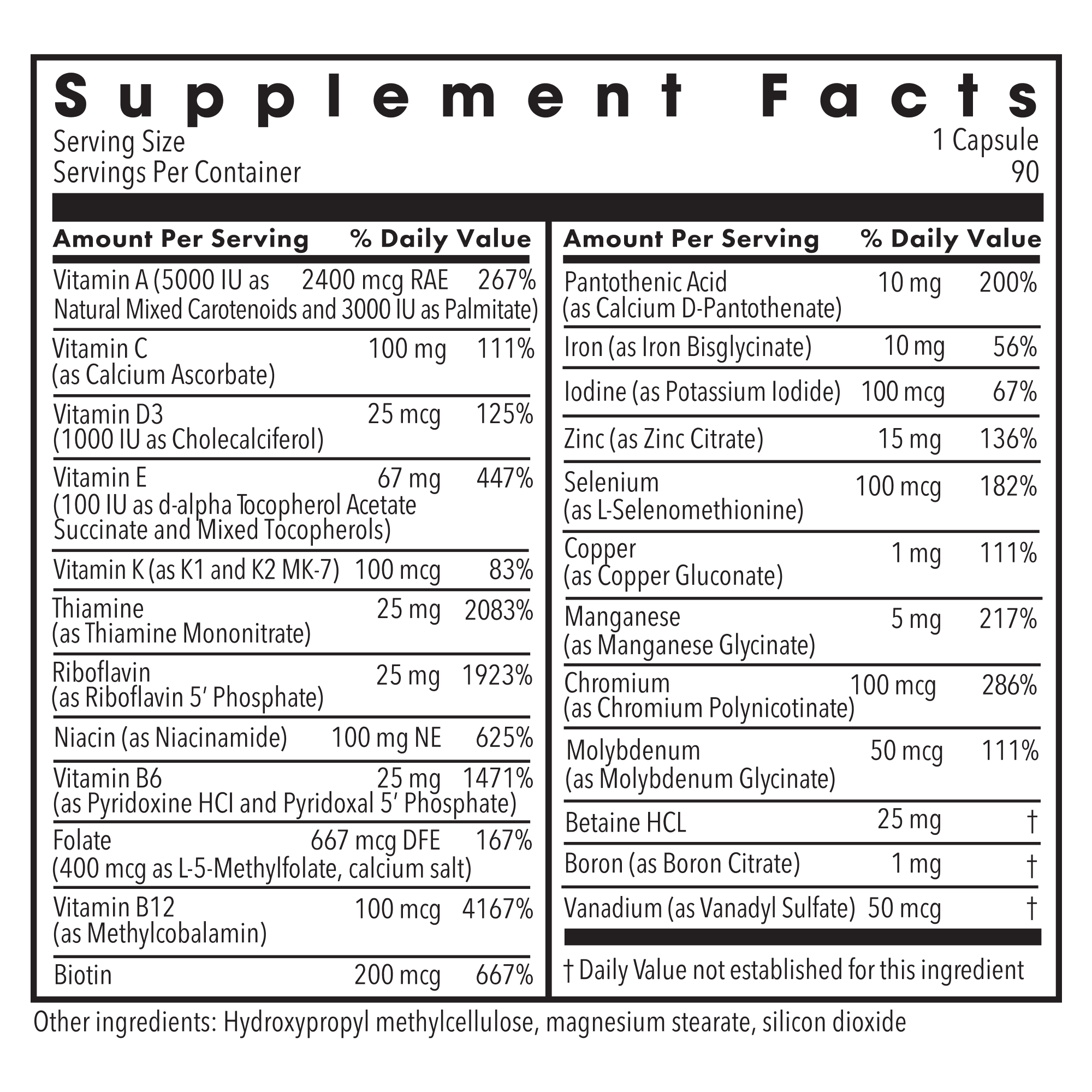 Metabolic Maintenance® - The Big One® with Iron