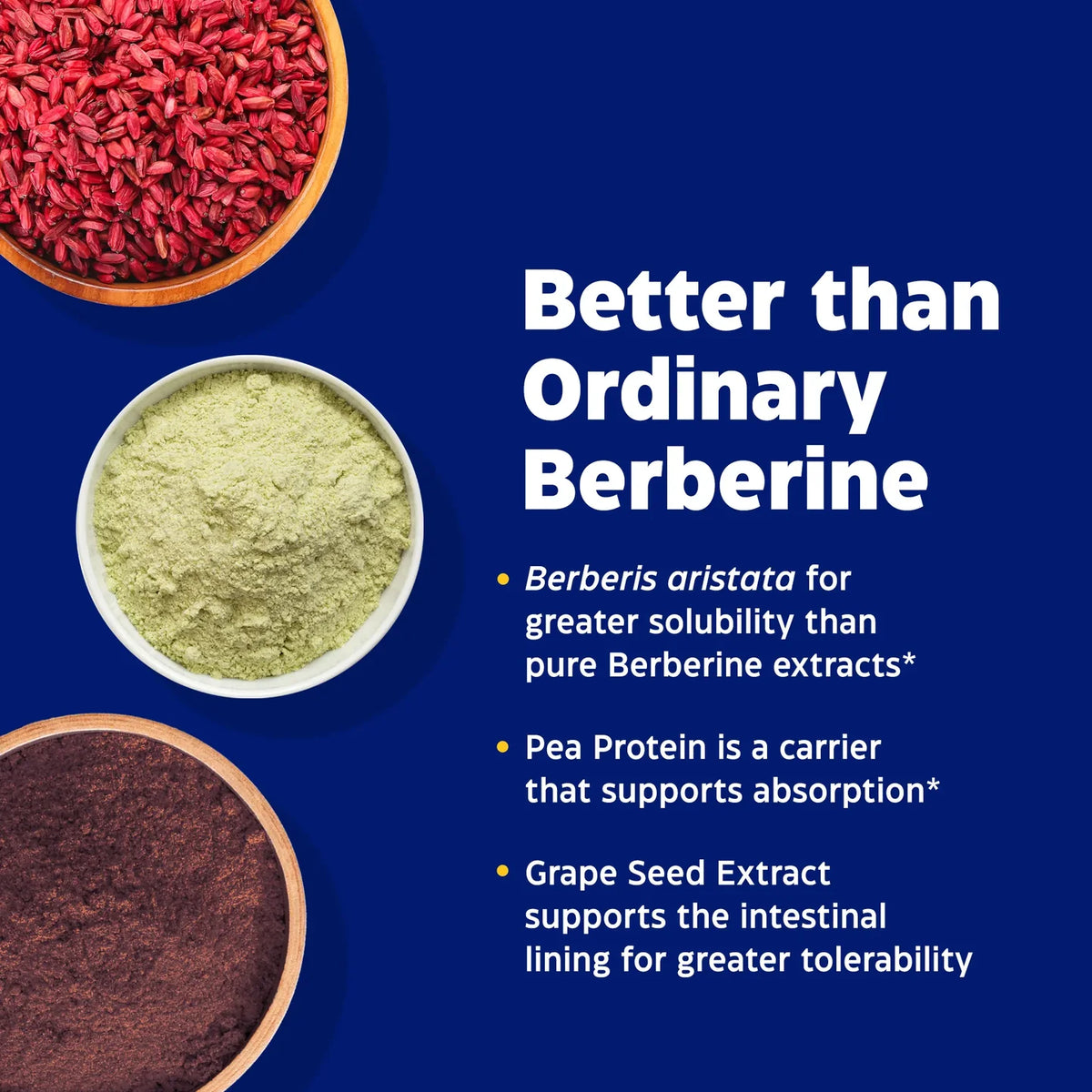 Enzyme Science Berberine Phytosome®
