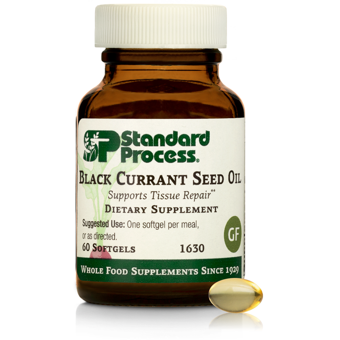 Standard Process - Black Currant Seed Oil