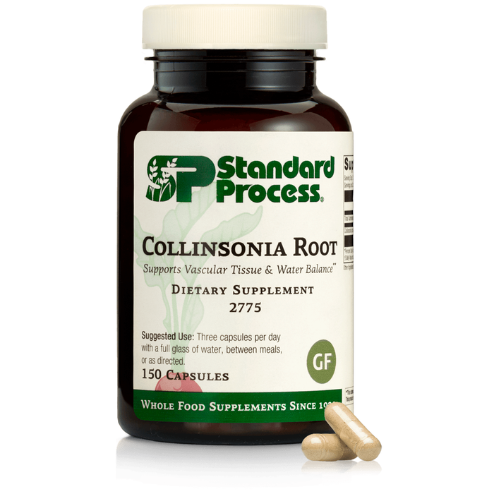 Standard Process - Collinsonia Root
