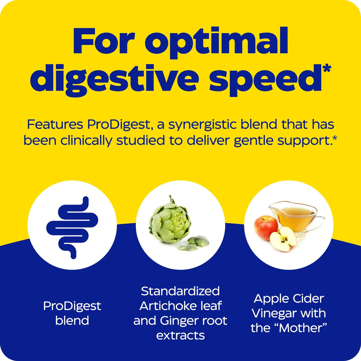 Enzyme Science Gut Motility