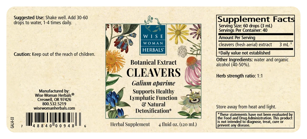 Cleavers (Galium aparine)