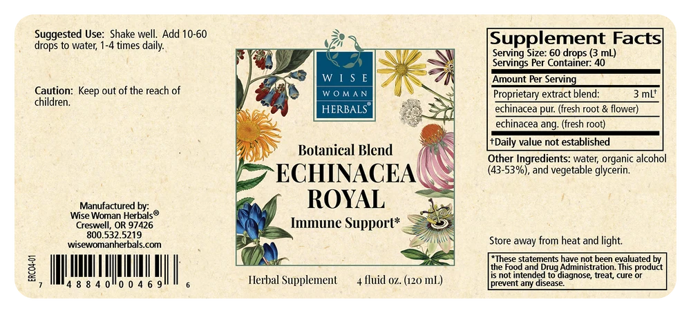 Echinacea Royal