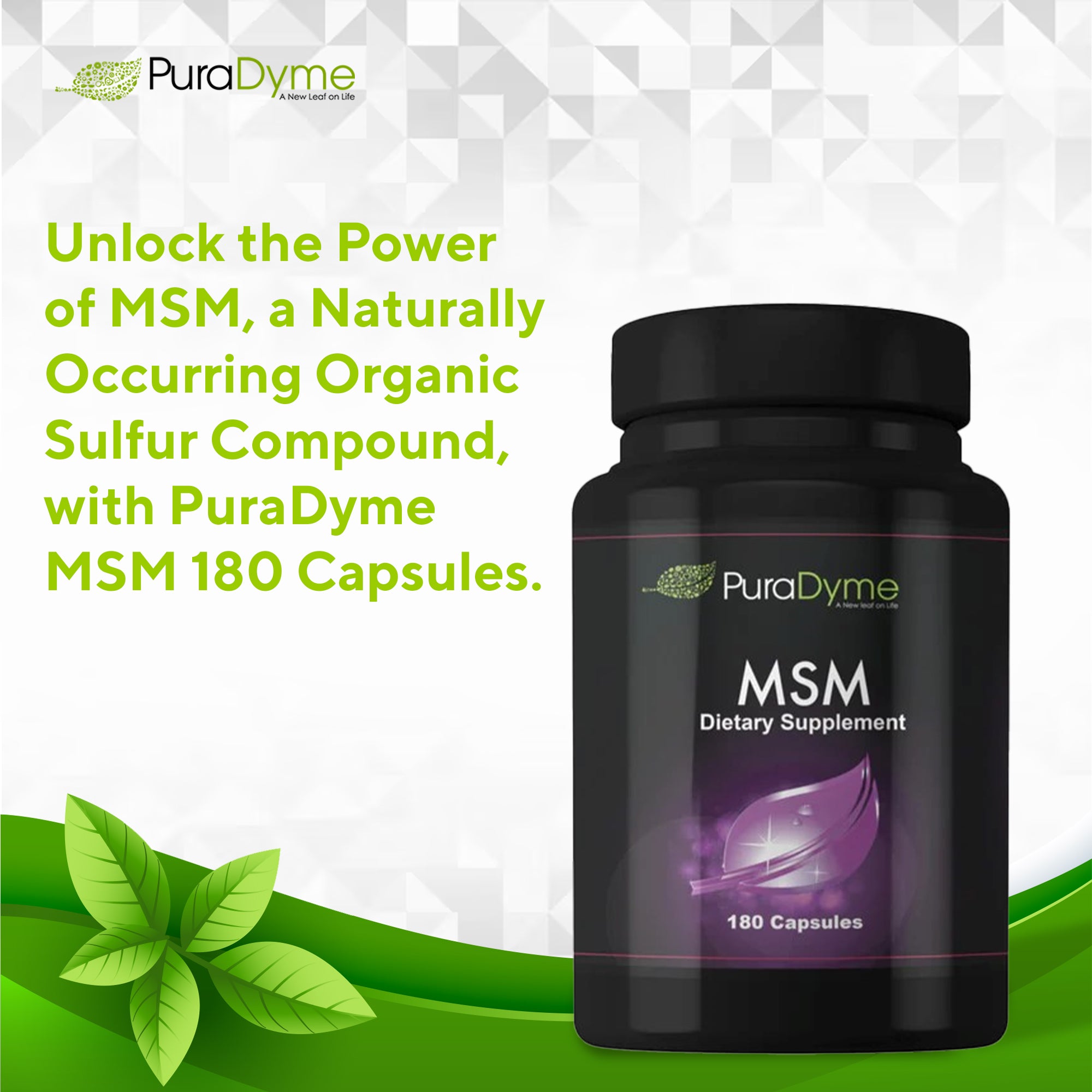 PURADYME  MSM 180 Caps