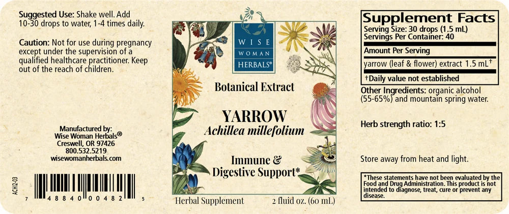 Yarrow (Achillea millefolium)