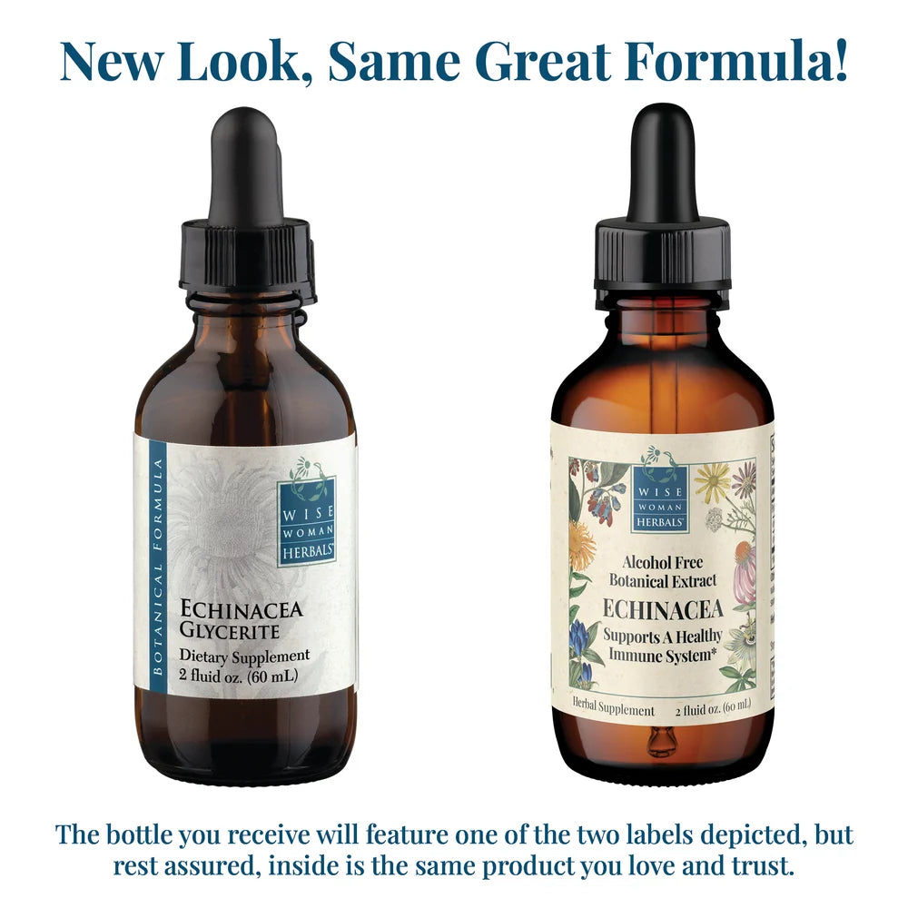 Echinacea Alcohol Free (Formerly Echinacea Glycerite)