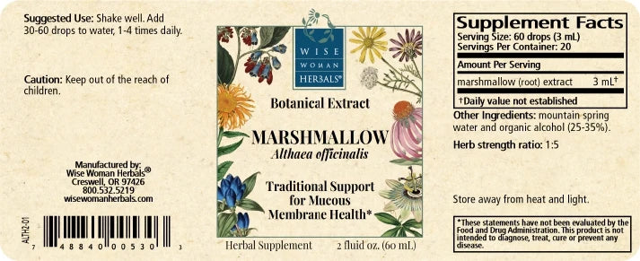 Marshmallow (Althaea officinalis)