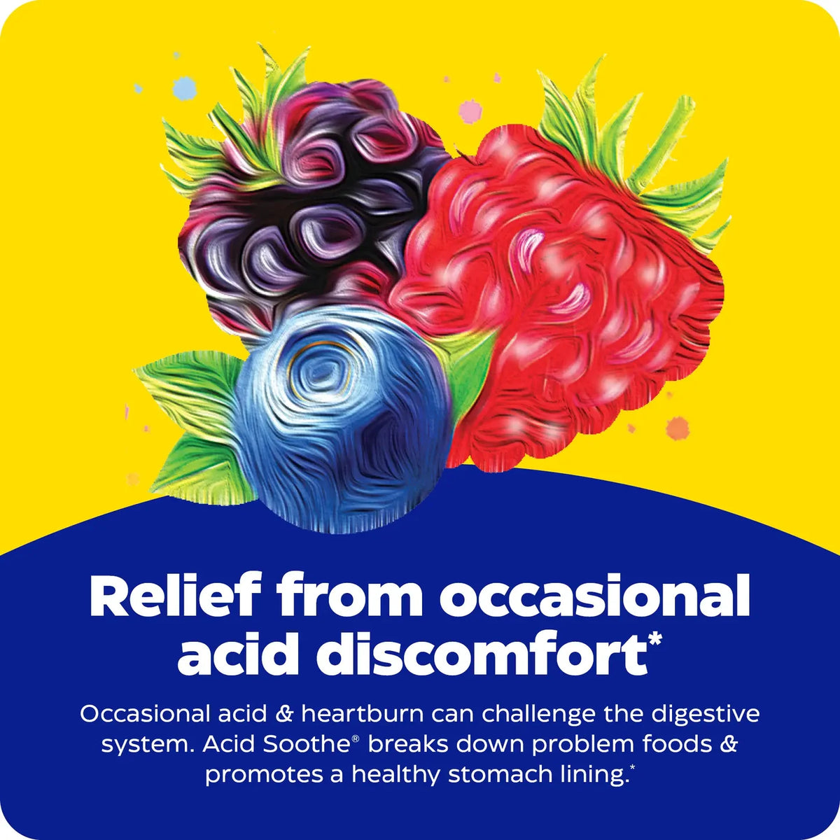 Enzyme Science Acid Soothe® Chewable