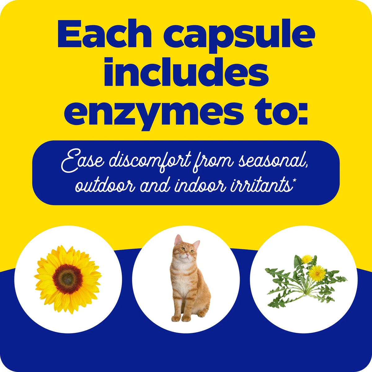 Enzyme Science Allerase®