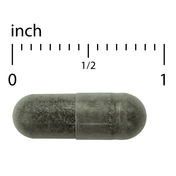 EuroMedica Andrographis EP80™ Extra Strength
