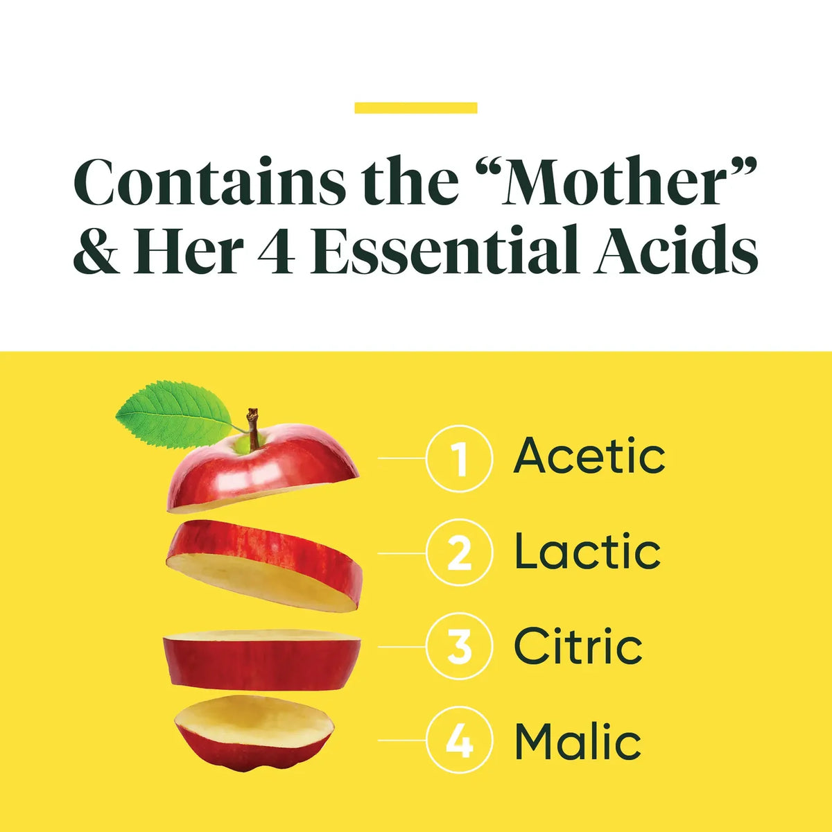 Enzyme Science Apple Cider Vinegar