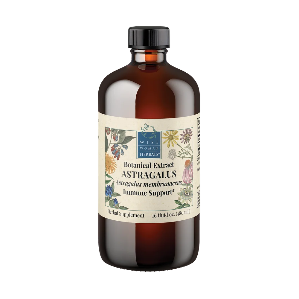 Astragalus (Astragalus membranaceous)