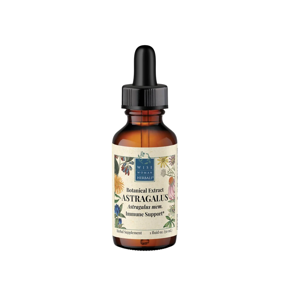 Astragalus (Astragalus membranaceous)