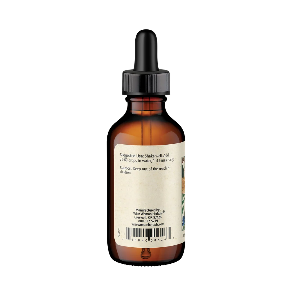 Astragalus (Astragalus membranaceous)
