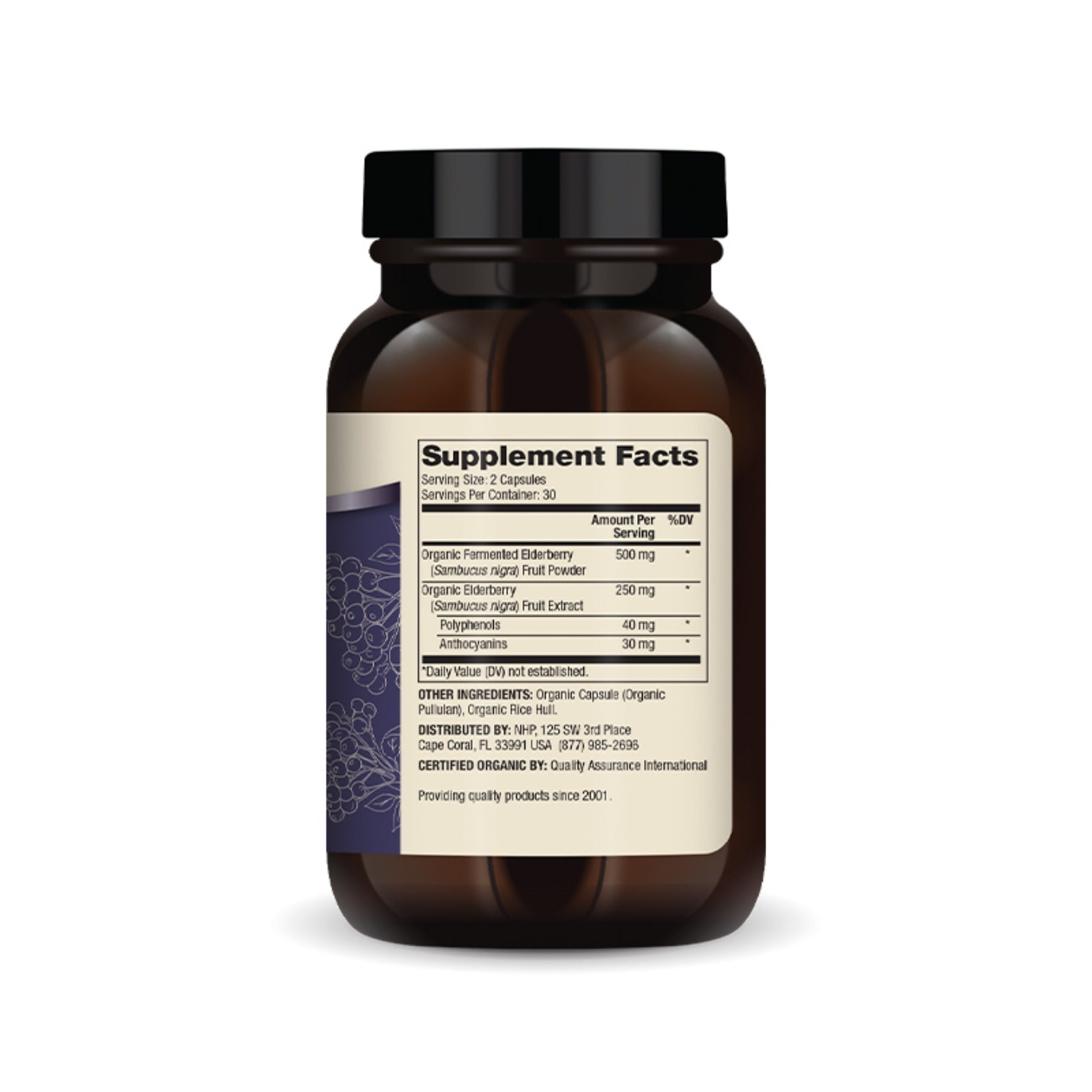 Dr. Mercola Organic Fermented Elderberry