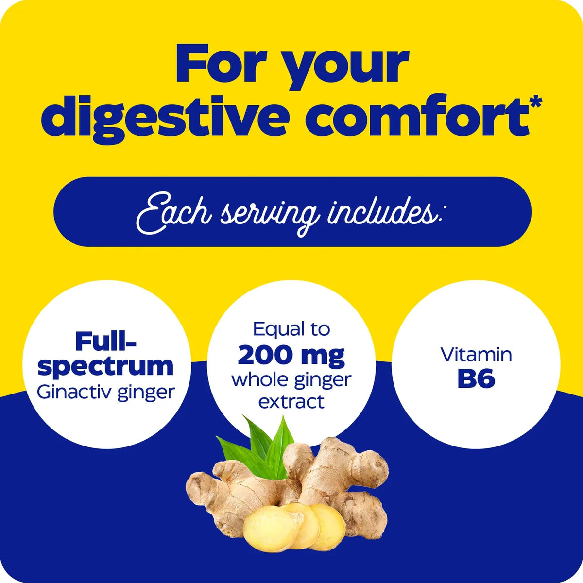 Enzyme Science Ginger & Vitamin B6 Gummies