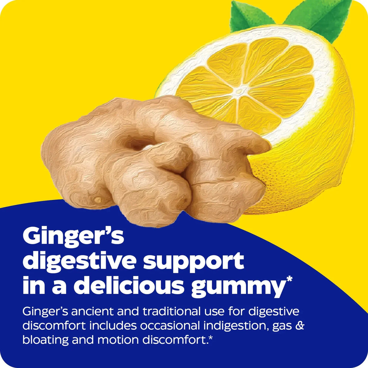 Enzyme Science Ginger & Vitamin B6 Gummies