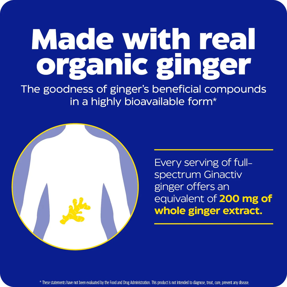 Enzyme Science Ginger & Vitamin B6 Gummies