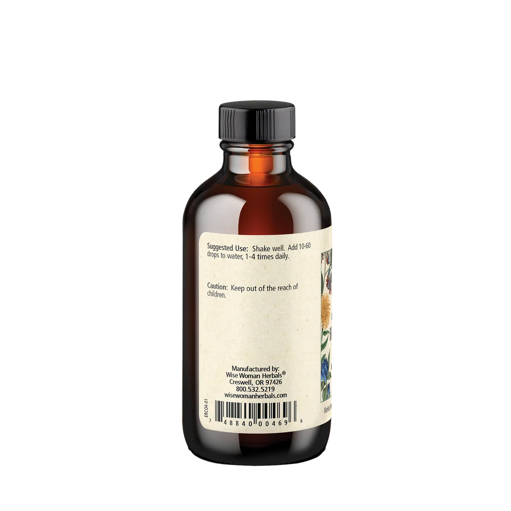 Echinacea Royal