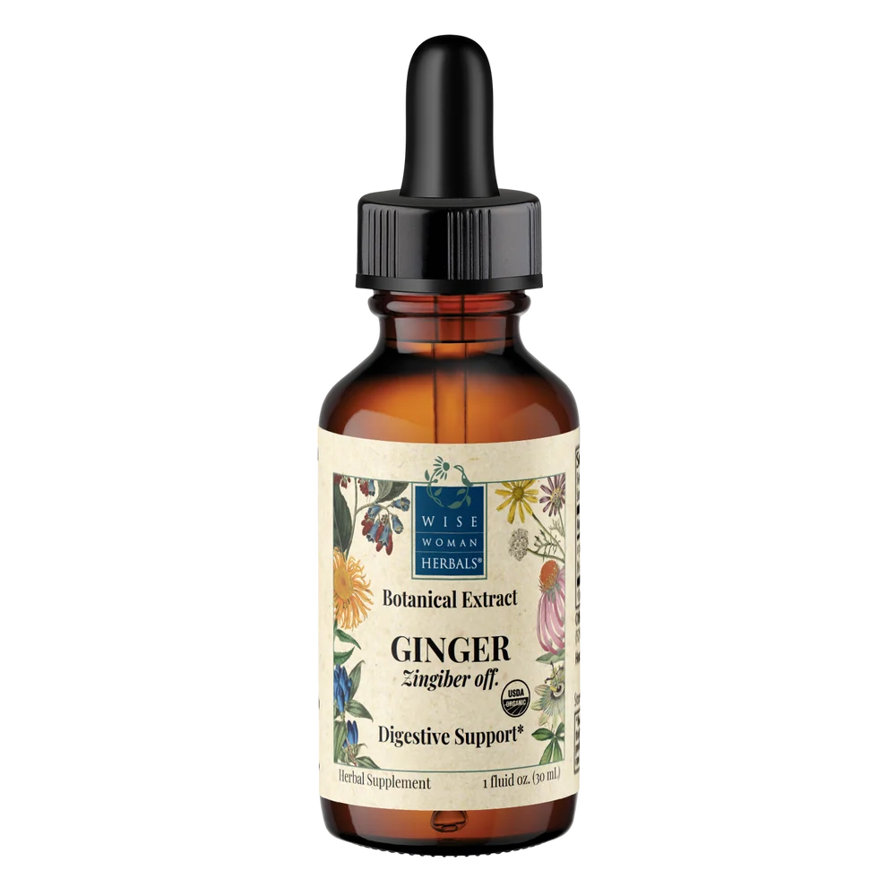 Ginger (Zingiber officinale)