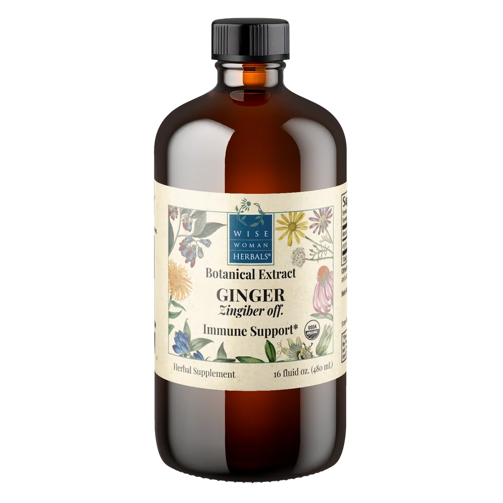 Ginger (Zingiber officinale)