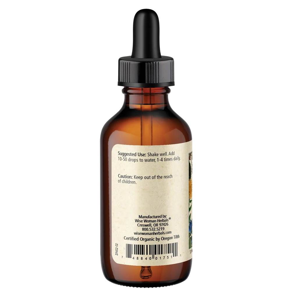 Ginger (Zingiber officinale)