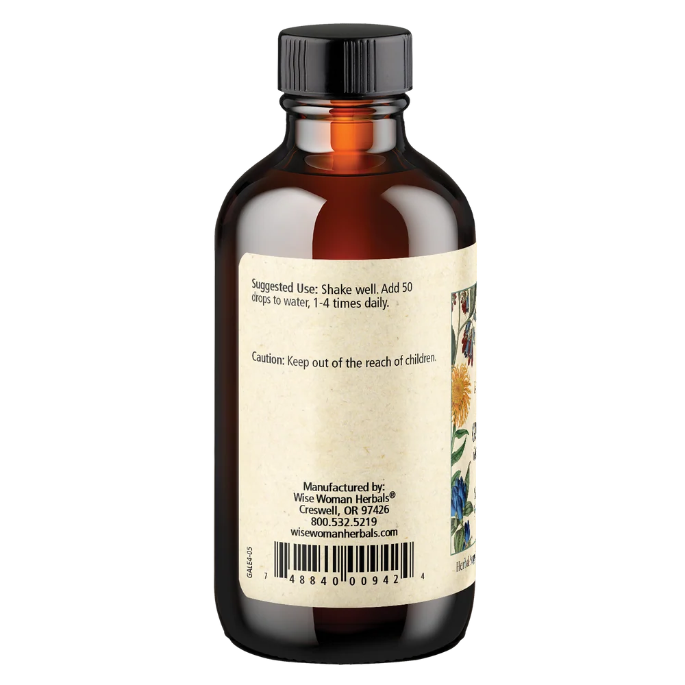 Goat's Rue (Galega officinalis)