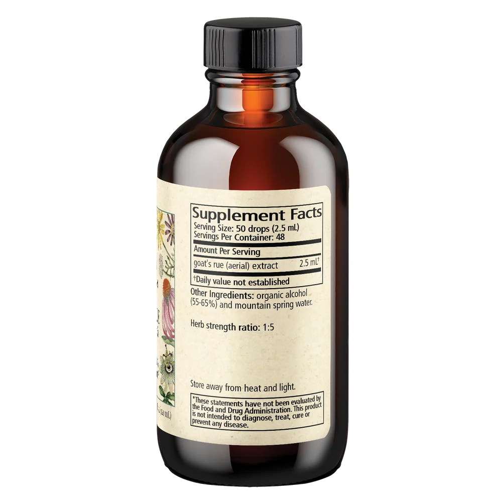 Goat's Rue (Galega officinalis)