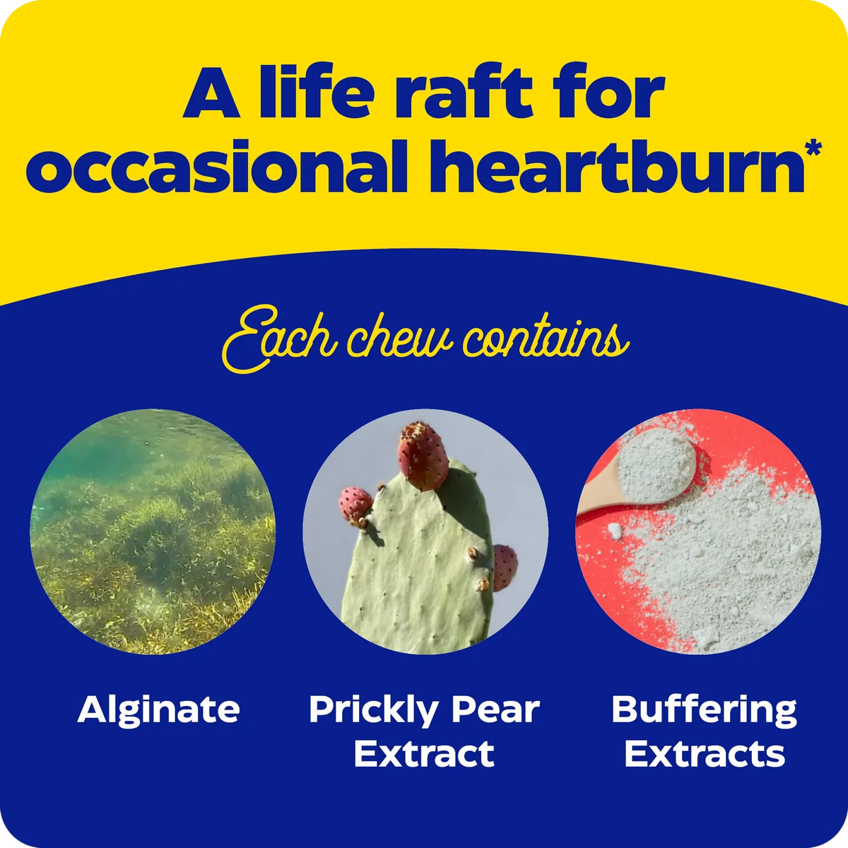 Enzyme Science Heartburn Soothe*