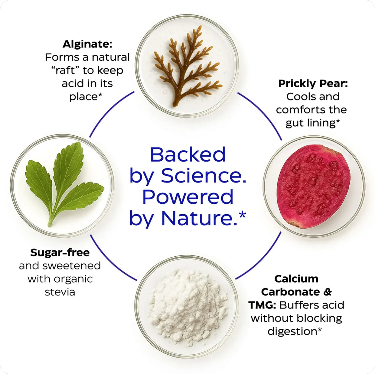 Enzyme Science Heartburn Soothe* Liquid