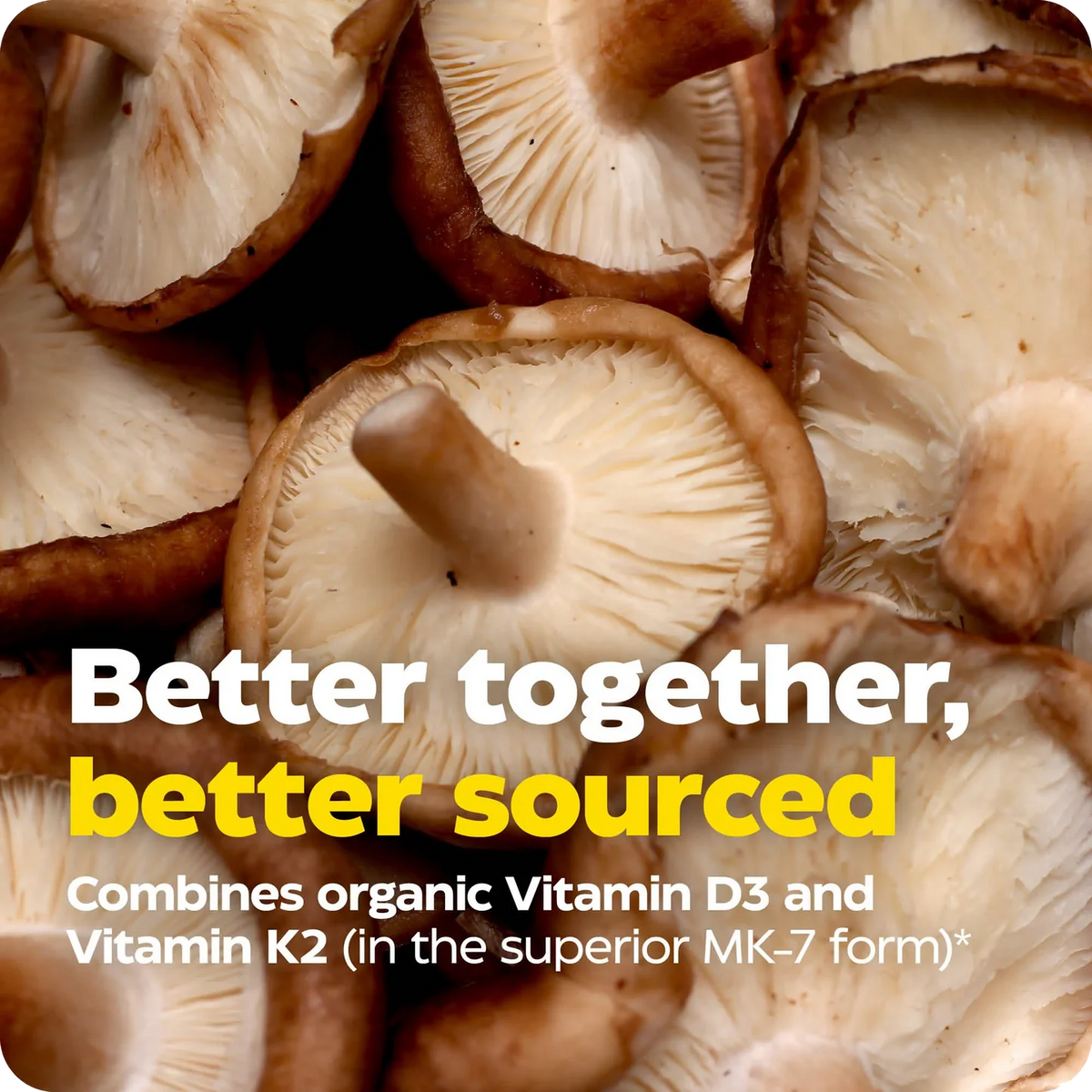 Enzyme Science Vitamin D3 + Vitamin K2