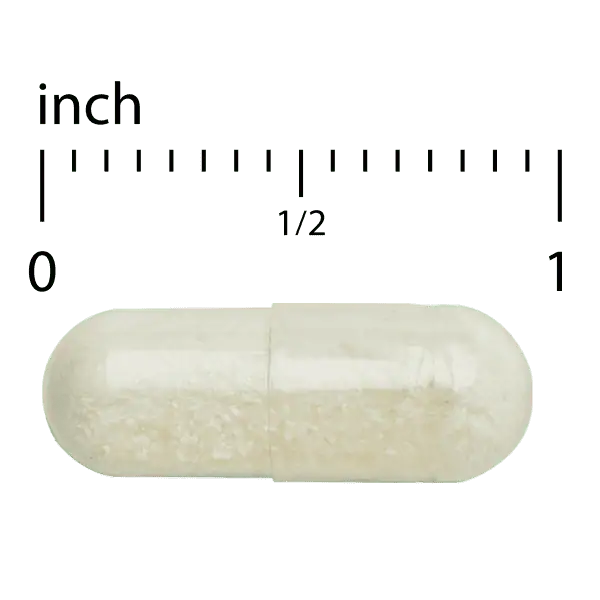 EuroMedica ImunoPleuran™ Extra Strength