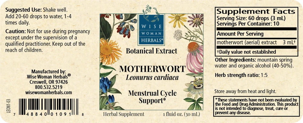 Motherwort (Leonurus cardiaca)