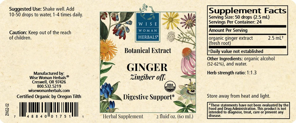 Ginger (Zingiber officinale)