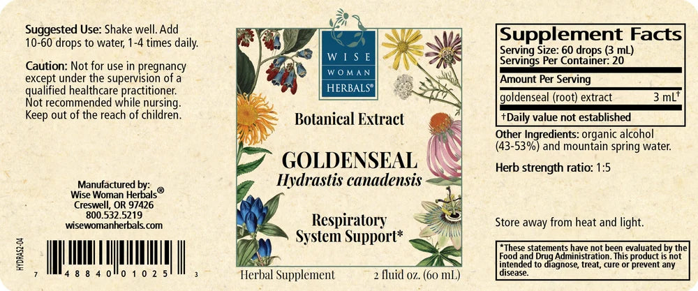 Goldenseal (Hydrastis canadensis)