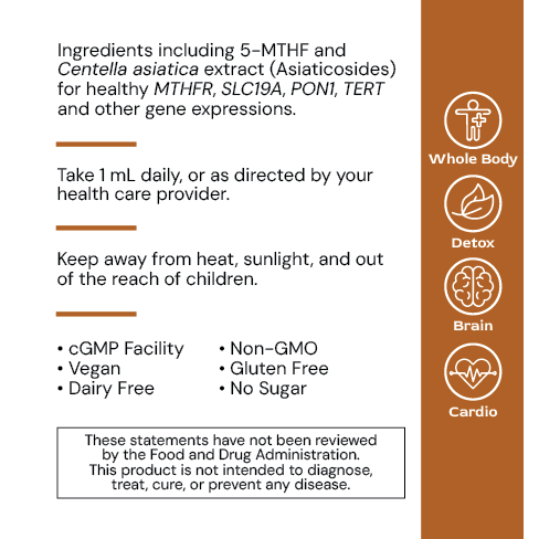 Alimentum Labs - Liposomal MethylGenic