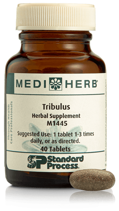 MediHerb - Tribulus