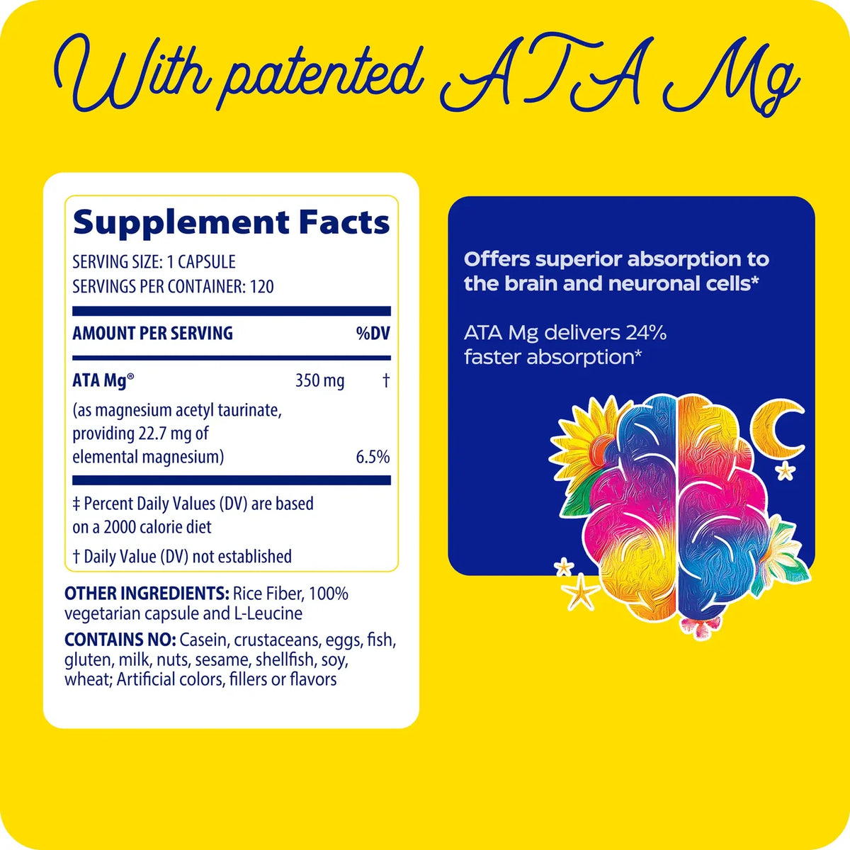 Enzyme Science Magnesium Mind