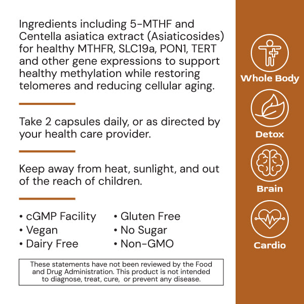 Alimentum Labs - MethylGenic