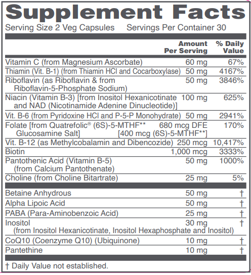 PROTOCOL FOR LIFE B Complex Neuro Factors w/ALA & CoQ10