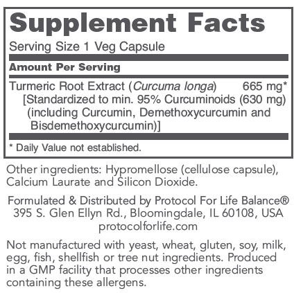 PROTOCOL FOR LIFE Curcumin 665 mg 95% Extract