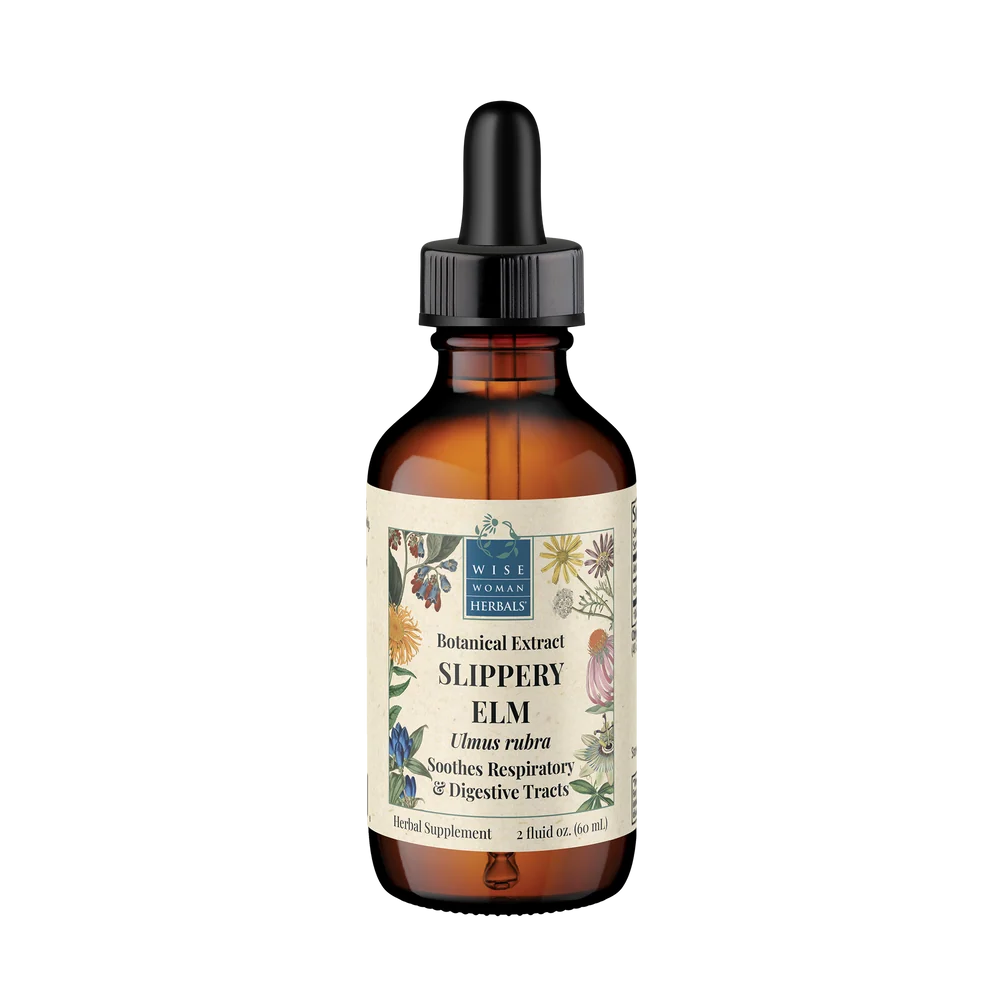Slippery Elm (Ulmus rubra)