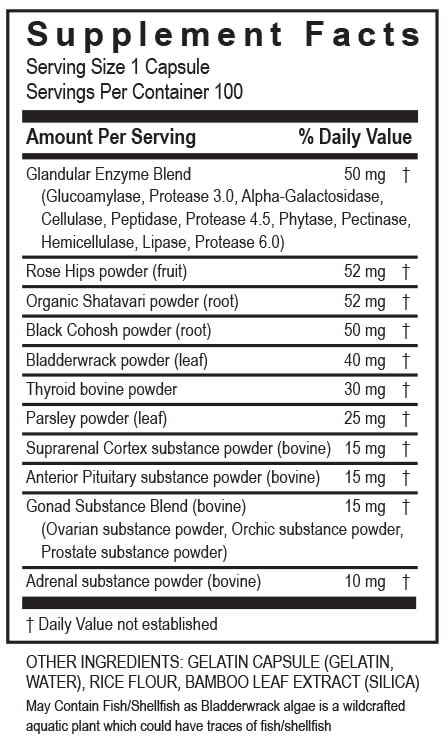 TRANSFORMATION ENZYME MasterZyme