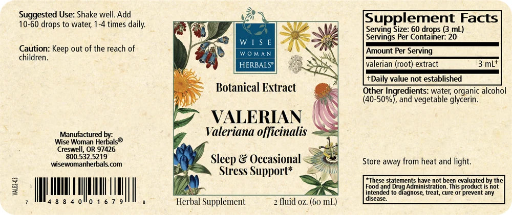 Valerian (Valeriana officinalis)
