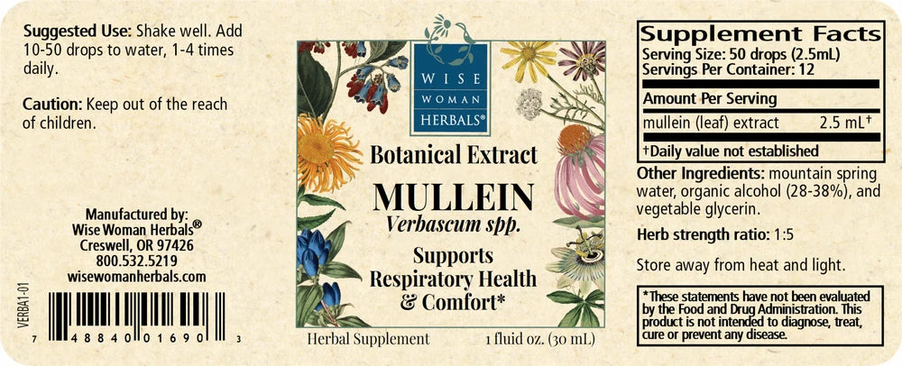 Mullein (Verbascum spp.)